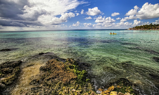 איי גלאפגוס, אתר מורשת עולמית טבעי